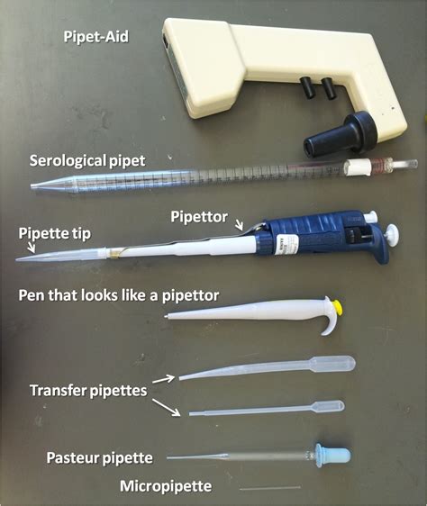 is pipette a name|different kinds of pipettes.